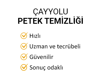 Petek Temizleme Ne Zaman ve Nasıl Yapılır