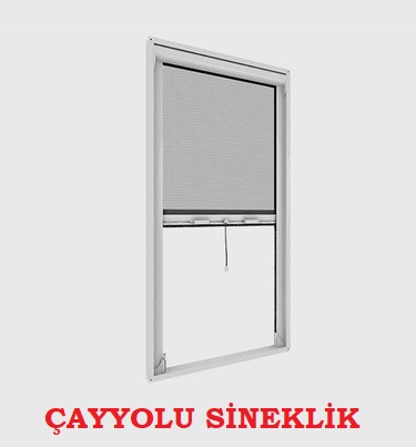 Çayyolu Sineklik