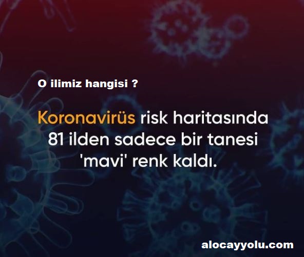 Koronavirüs Risk Haritası